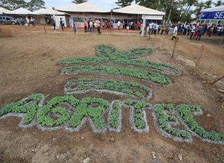 Agritec Zé Doca: Tecnologia alternativa substitui uso do fogo no preparo do solo