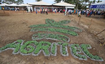 Agritec Zé Doca: Tecnologia alternativa substitui uso do fogo no preparo do solo