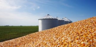 Quinze produtos do agronegócio respondem por 40% das exportações totais