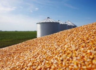 Quinze produtos do agronegócio respondem por 40% das exportações totais