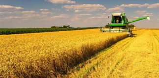 Agronegócio recupera otimismo em relação à economia