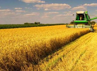 Agronegócio recupera otimismo em relação à economia