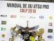 Atletas balsenses conquistam medalhas no Campeonato Mundial de Jiu Jtitsu