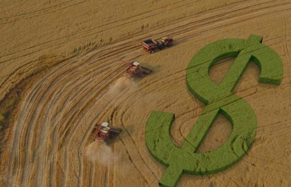 Falta dinheiro! Crédito escasso ameaça nova safra brasileira