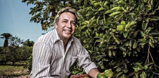 O doce negócio do limão