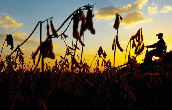 PIB agropecuário cai 2% influenciado pelas perdas na produção de grãos