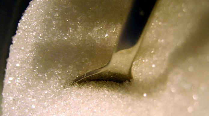 Setor sucroenergético comemora boa remuneração