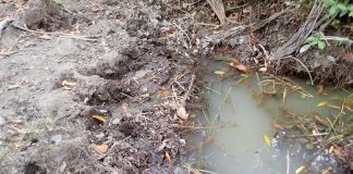Expedição em defesa das nascentes do rio Balsas sente decepção em nova visita ao local