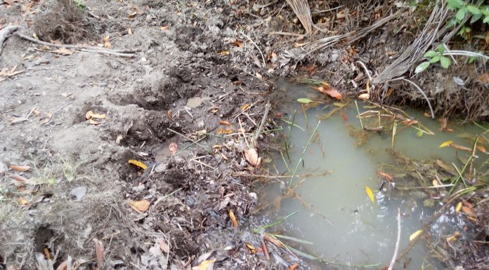 Expedição em defesa das nascentes do rio Balsas sente decepção em nova visita ao local