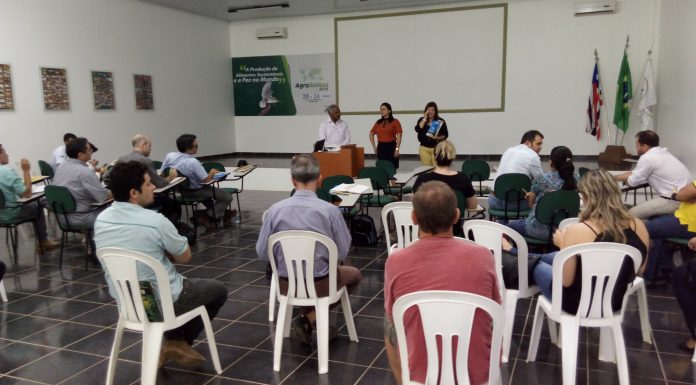 Em busca de sustentabilidade para o cerrado, pesquisadores do sul visitam Mapitoba