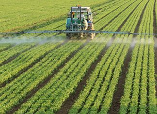 Produção agrícola do Maranhão baixa para os níveis de uma década atrás, segundo a Conab