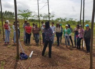 Área do projeto Biomas vira laboratório a céu aberto para estudantes
