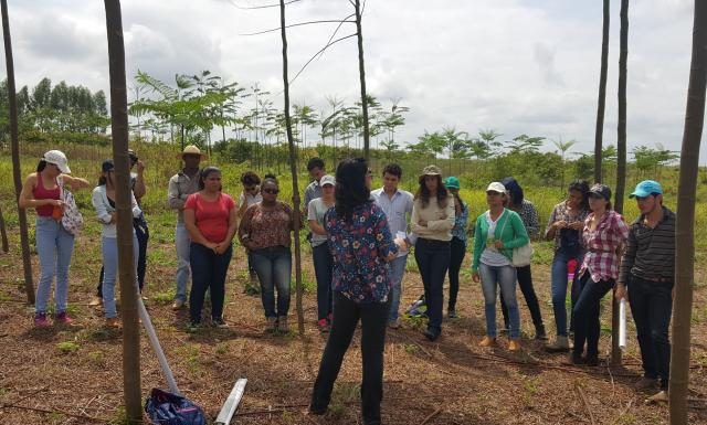 Área do projeto Biomas vira laboratório a céu aberto para estudantes