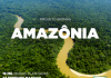 Projeto auxilia na preservação e recuperação do Bioma Amazônia