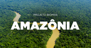Projeto auxilia na preservação e recuperação do Bioma Amazônia