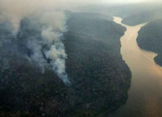 Índios isolados são vistos perto de Santa Luzia