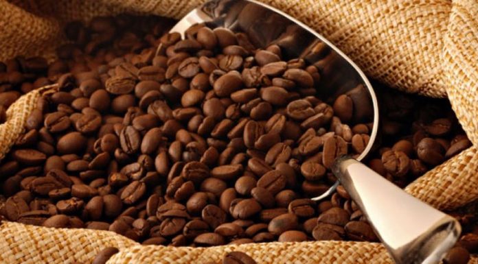 Por que exportar o melhor grão de café e não consumir?