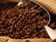 Por que exportar o melhor grão de café e não consumir?