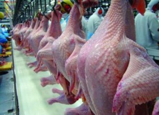 Brasil será terceiro maior produtor de carne até 2025
