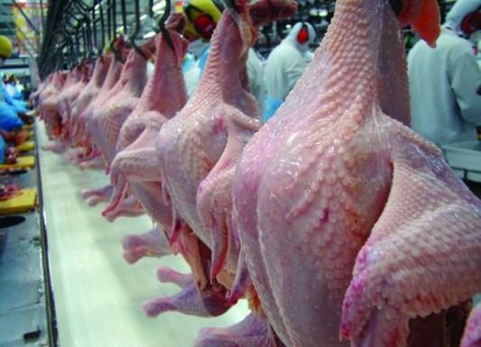 Brasil será terceiro maior produtor de carne até 2025