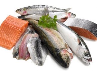 Pescado tem potencial para se tornar principal proteína no futuro