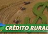 Crédito caro pode comprometer renda do produtor na safra atual