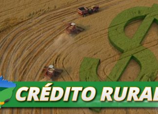 Crédito caro pode comprometer renda do produtor na safra atual