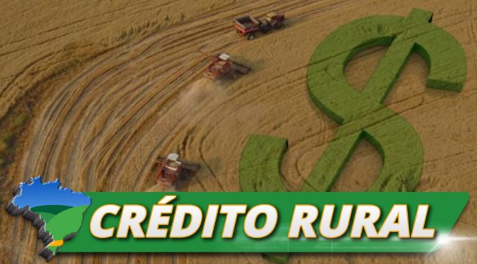 Crédito caro pode comprometer renda do produtor na safra atual