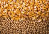 PIB do Agronegócio cresceu 2,71% de janeiro a julho