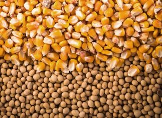 PIB do Agronegócio cresceu 2,71% de janeiro a julho