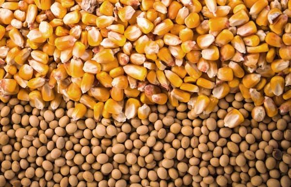 PIB do Agronegócio cresceu 2,71% de janeiro a julho