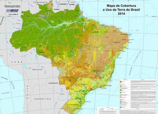 IBGE: áreas agrícolas e de pasto com manejo crescem no Brasil