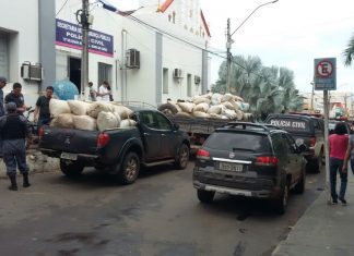 Índios são presos com mais de duas toneladas de maconha, em Barra do Corda
