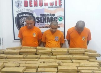 Polícia apreende 300 kg de maconha que estavam enterrados em oficina