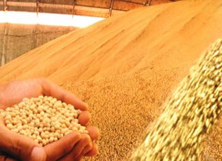 Ipea projeta crescimento de 0,7% do PIB em 2017