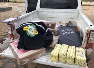 Polícia de Balsas apreende carga de alimentos em meio a agrotóxicos