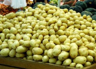 PGPAF garante preços de nove produtos em 14 estados e bônus pode chegar a 70%