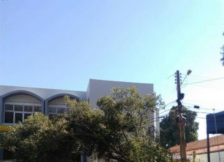 Galho de árvore centenária cai em frente ao Banco do Brasil e fecha o trânsito, em Balsas