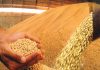 Mundo deve produzir menos e consumir mais soja na safra 17/18, diz USDA