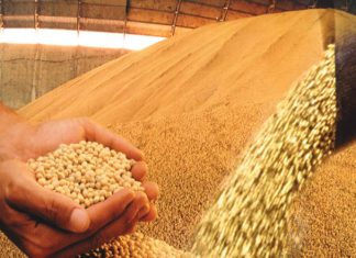 Mundo deve produzir menos e consumir mais soja na safra 17/18, diz USDA