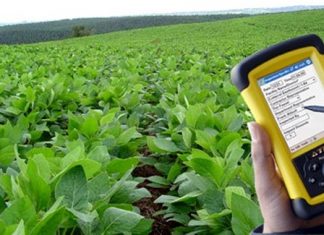 SELETIVO: IBGE prorroga inscrições para processo seletivo do Censo Agro 2017