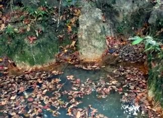 SEMA promove audiência pública sobre a criação de parques e reservas nos Gerais de Balsas
