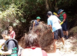 ONG recolhe lixo das margens do rio antes do Verão Balsas