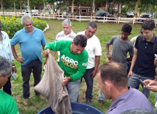 Agricultores do Agropolo Rio Balsas recebem capacitação