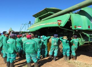 AMAPA fomenta parceria na colheita de algodão