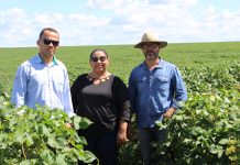 AMAPA EM CAMPO: certificação para cotonicultores do MA