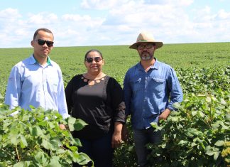 AMAPA EM CAMPO: certificação para cotonicultores do MA