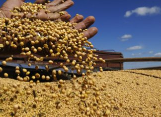 Safra 2017 será de 238,6 milhões de toneladas, 29,2% maior ante 2016