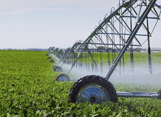 Imesc divulga Nota de Agricultura Maranhense referente ao mês de junho de 2017