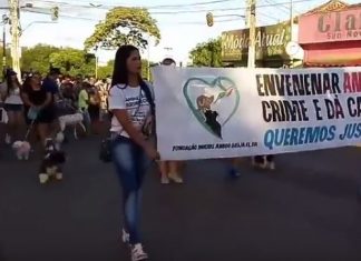 1ª Cãominhada idealizada pela Fundação Michel Amigo Beijo Flor